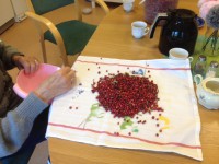 /album/bildgalleri/img-3002-jpg/