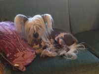 /album/bildgalleri/img-3004-jpg/