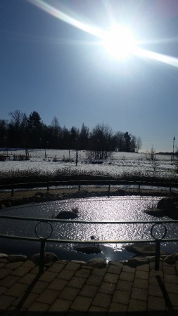 Vi njuter av solen, Lördag 27/2